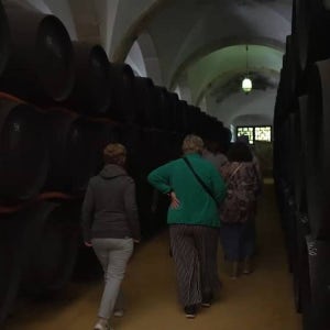 스페인 세비야 출발 헤레스 & 카디스 안달루시아 말과 셰리 와인 투어 Calle Zaragoza 1번에서 오전 8시 30분에 출발 성인(나이 18-99)