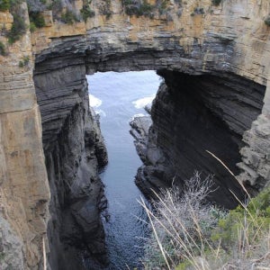 호주 태즈메이니아 7일 서부-동부 대자연 일주 호스텔 트윈룸 투어 (영어)