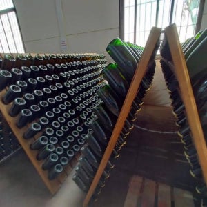 스페인 엘 푸에르토 와이너리 투어 및 시음 카디스 와이너리 방문 & 시음