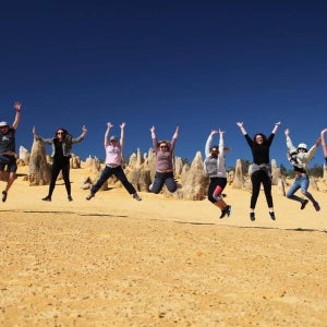 호주 서부 7일 엑스머스 & 닝갈루 리프 탐험 공유 숙소(성인 전용) (영어)