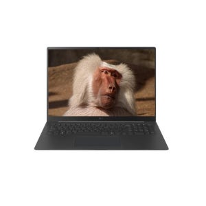 LG전자 2026 그램 프로17 17Z90U-GU7BK SSD 2TB
