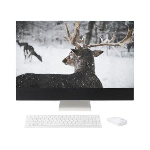 LG전자 27VD70T-GX50K WIN 11 설치