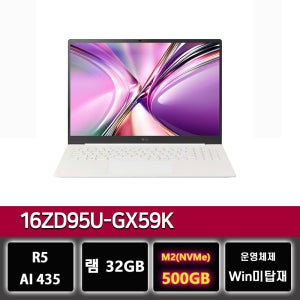 LG전자 LG 그램 프로 16ZD95U-GX59K 32GB 노트북 500GB교체