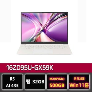 LG전자 LG 그램 프로 16ZD95U-GX59K 32GB 노트북 윈11홈설치 500GB교체