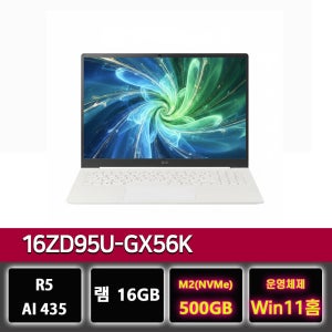 LG전자 LG 그램 프로 16ZD95U-GX56K 16GB 노트북 500GB교체 윈11설치