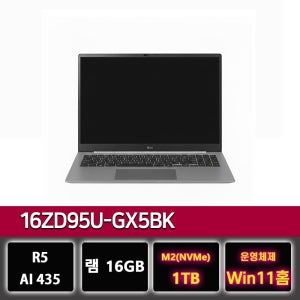 LG전자 LG 그램 프로 16ZD95U-GX56K 16GB 노트북 윈11설치 1TB교체