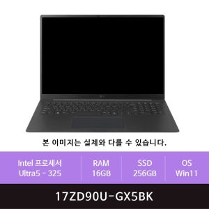 LG전자 LG 그램 프로17 17ZD90U-GX5BK Win11설치(zoaa)