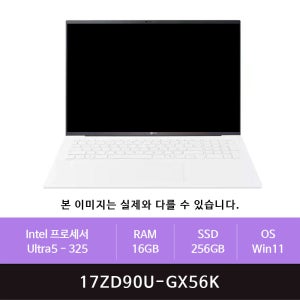 LG전자 LG 그램 프로17 17ZD90U-GX56K Win11설치(zoaa)