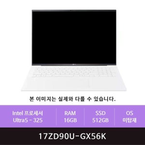 LG전자 LG 그램 프로17 17ZD90U-GX56K 512GB교체(zoaa)
