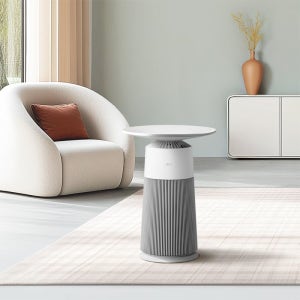 LG 퓨리케어 AI 오브제컬렉션 에어로퍼니처 AS065PWHA