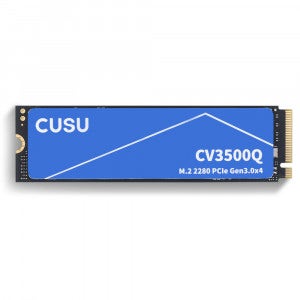TWSC CUSU CV3500Q M.2 NVMe (1TB)