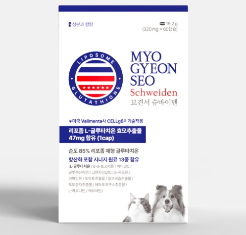 펫 헬스케어 앱