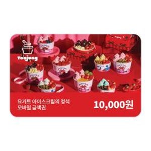 [요거트아이스크림의 정석] 모바일금액권 1만원