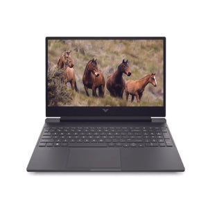 HP 빅터스 15-fb3110AX SSD 1TB