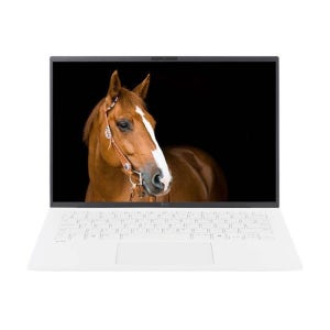 LG전자 LG그램 14Z90T-GA56K SSD 2TB