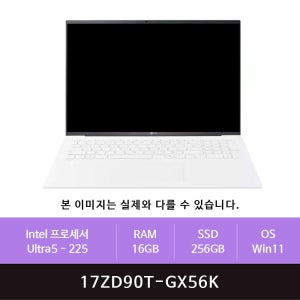 LG전자 그램17 17ZD90T-GX56K Win11설치(zoaa)