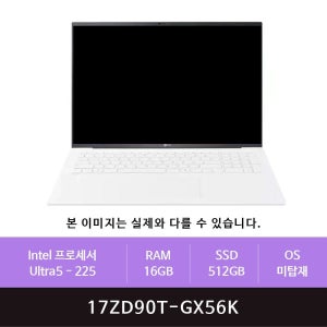 LG전자 그램17 17ZD90T-GX56K 512GB교체(zoaa)