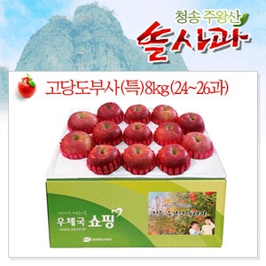 청송주왕산솔사과[고당도부사(특)8kg(24~26과)]