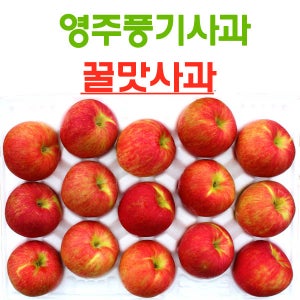 영주풍기사과 꿀맛사과 대용량 10kg 42~46과 가정용 흠집사과[당도 높은 빨간