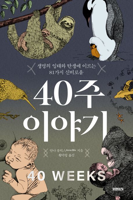 40주 이야기
