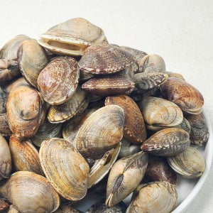 해감 잘 되어있어 모래 걱정 없는 고흥 활바지락 2kg