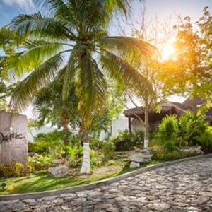 [칸쿤-푸에르토 모렐로스 호텔] 디자이어 펄 리조트 앤드 스파