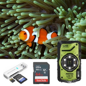 [펜탁스][내일도착보장] 펜탁스 WG-8 컴팩트 4K 방수 카메라 올리브+SD64GB+리더기_WG-8 Olive [갤러리아]