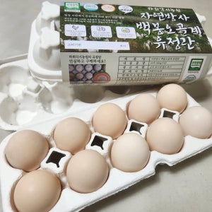무항생제 자연 방사 백봉 오골계란 유정란 30구[유정란 30구]