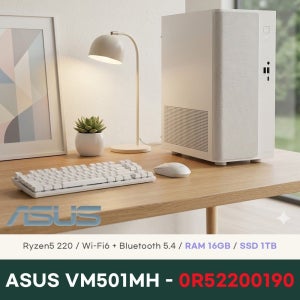 ASUS VM501MH-0R52200190 데스크탑  16GB 1TB