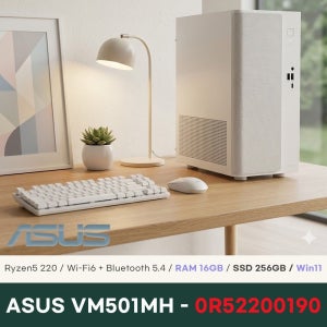 ASUS VM501MH-0R52200190 데스크탑  16GB 256GB Win11