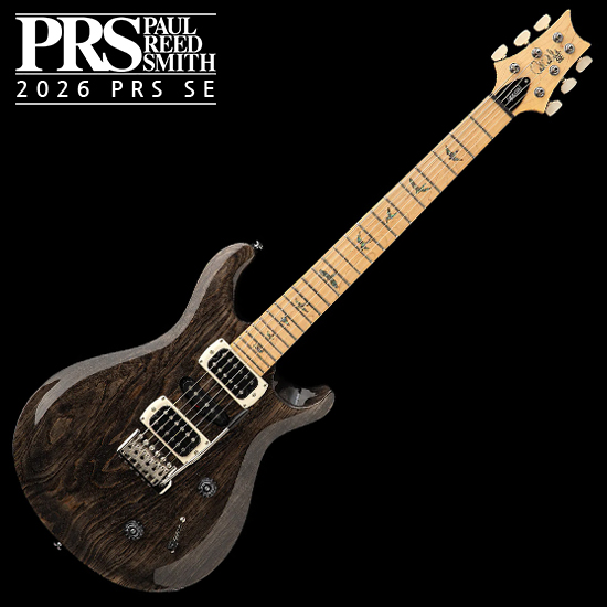 PRS SE Swamp Ash Special - Charcoal