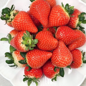 백도향 가득한 홍성 골드베리 딸기 500g(20-24입)