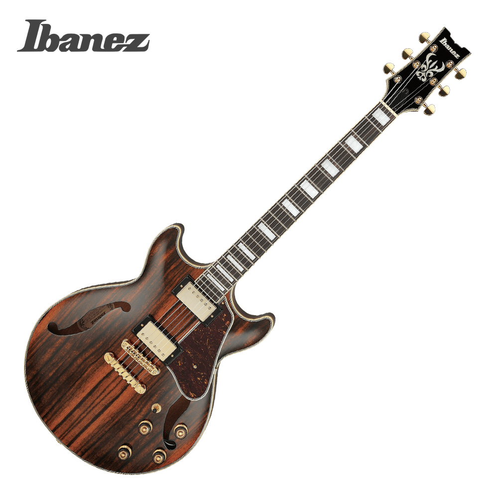 Ibanez 아이바네즈 IBANEZ 일렉기타 AM93ME