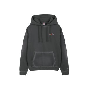 [프룻오브더룸] 피그먼트 베이직 후드티(CHARCOAL GREY)