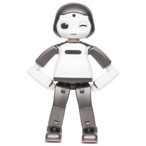 [인공지능 감성 AI 로봇 : 리쿠] LIKU 교육기관용