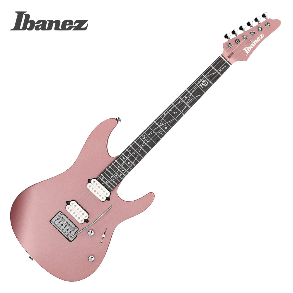 Ibanez 실재고보유 아이바네즈 팀핸슨 시그니쳐 일렉기타 Ibanez Tim Henson TOD10