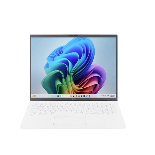 LG전자 그램17 15ZG80T-GZ79KN 16GB, 512GB