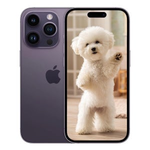 광고 메인 이미지