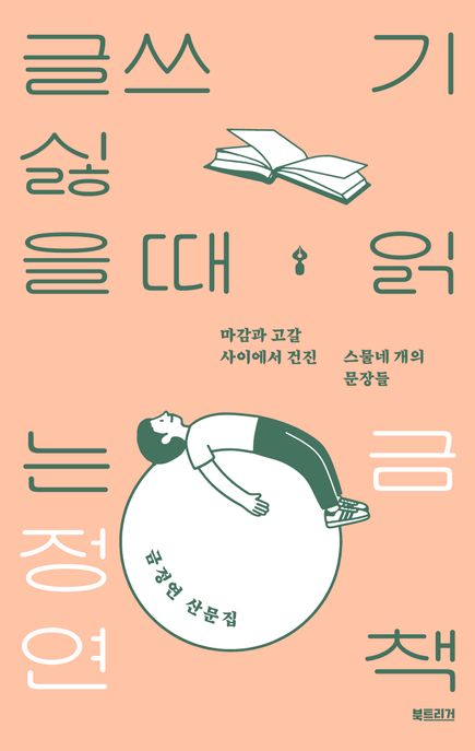 글쓰기 싫을 때 읽는 책 : 금정연 산문집 