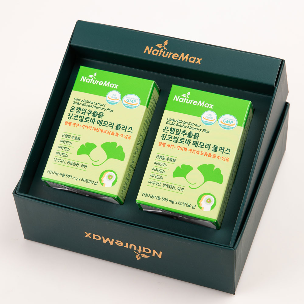 은행잎추출물 징코빌로바 메모리 플러스 기억력 혈행 개선 총 2박스