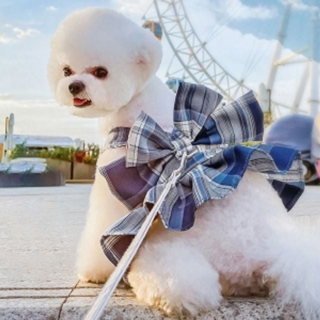 웰시 코기 하네스 애견 하네스 소형견 고양이 하네스 조끼형