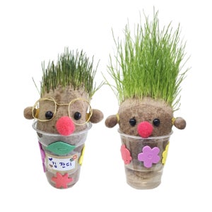 내가 만들어 키우는 나만의 잔디인형키우기키트 식물관찰 만들기