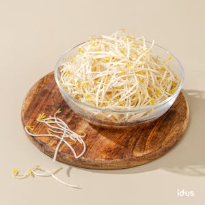 2대째(25년)콩.숙주나물만농사짓는🌱숙주나물 1kg, 25년간재배 콩나물장인농장(행복농원)