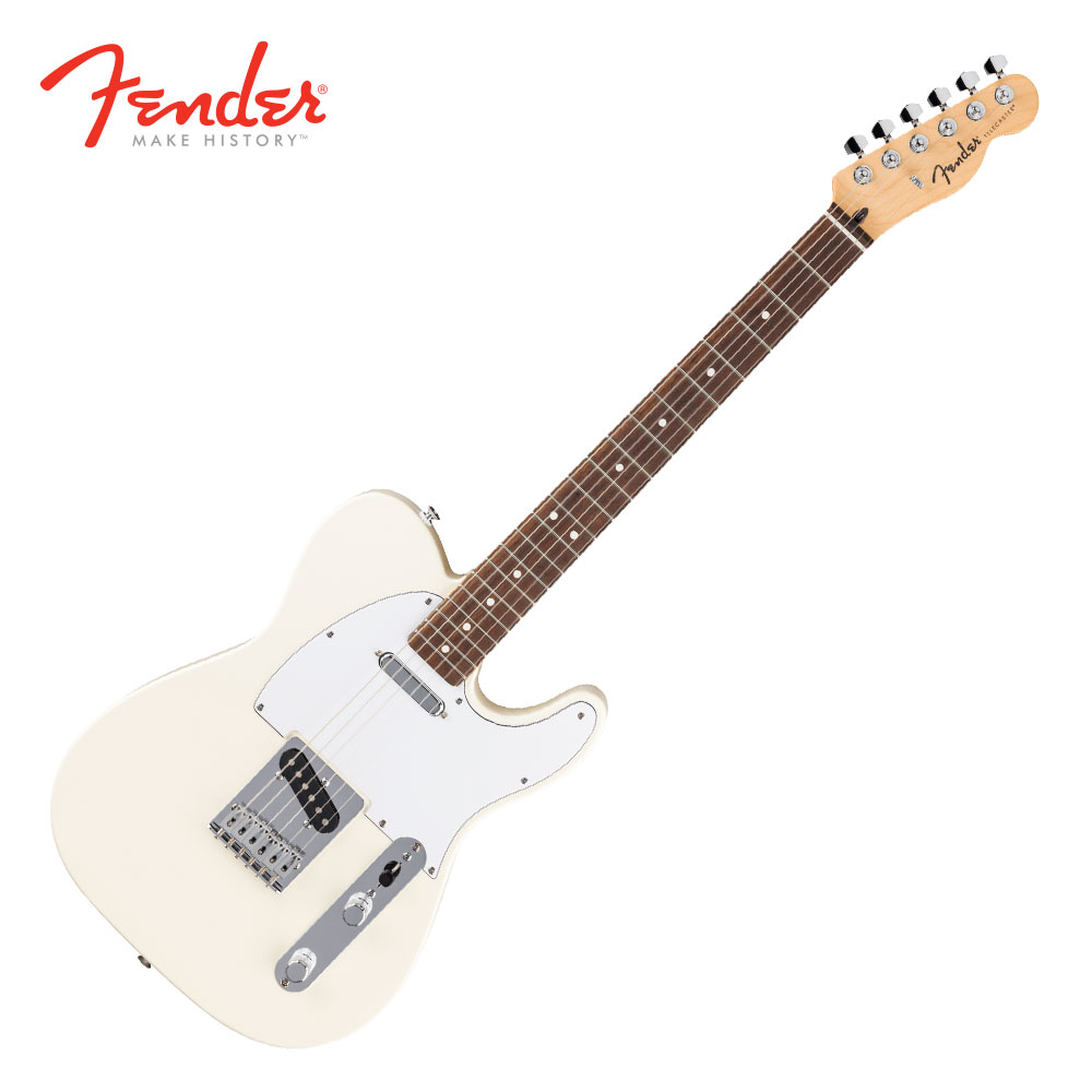 Fender 펜더 Fender STANDARD TELECASTER 일렉기타