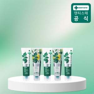 [체험특가/한정수량] 덴티스테 단독 인기구성 체험팩 20g 5종팩 (시트러스 20g 2개 + 안티 20g 3개)