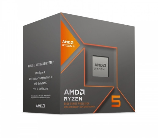 AMD 라이젠 5 8600G