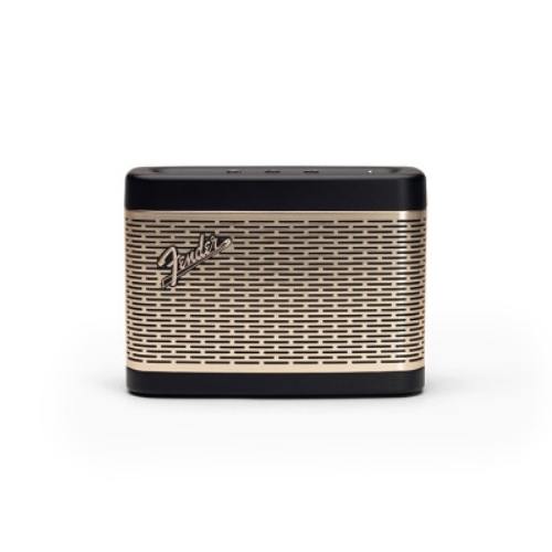 Fender Newport 2 스피커