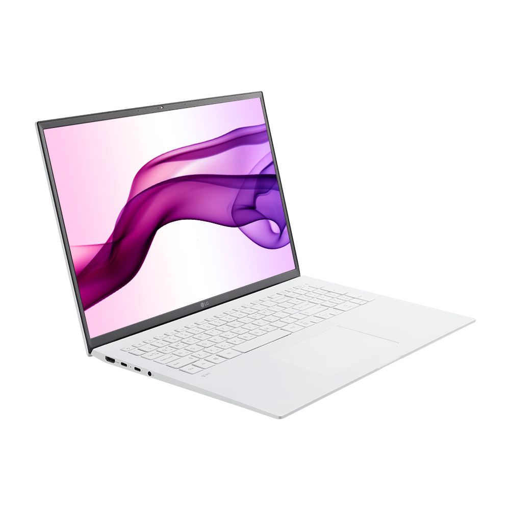 LG전자 그램17 17ZD90P-GX30K SSD 256GB + SSD 256GB