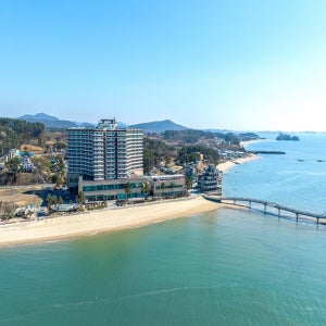 비체팰리스 충청남도 보령 무창포 룸온리 - 27평A 바다전망