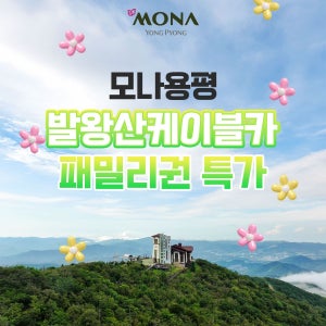 모나용평 [여행가는달] 모나용평 발왕산 관광케이블카 패밀리권 (2인&3인권) 특가, 이용기간 4월 1일~5월 29일이내 가능